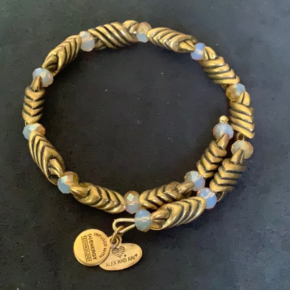 Alex and Ani Elegant Gold and Brown 3 Bracelet Set - Picture 2 of 4